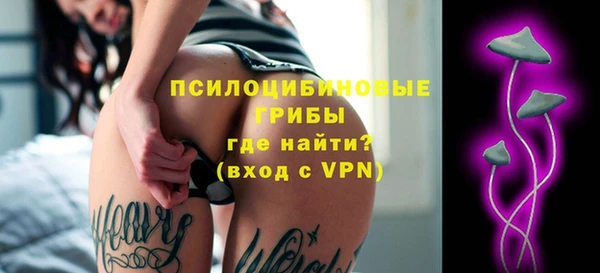 крисы Балахна