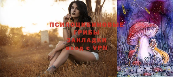 тгк Арсеньев