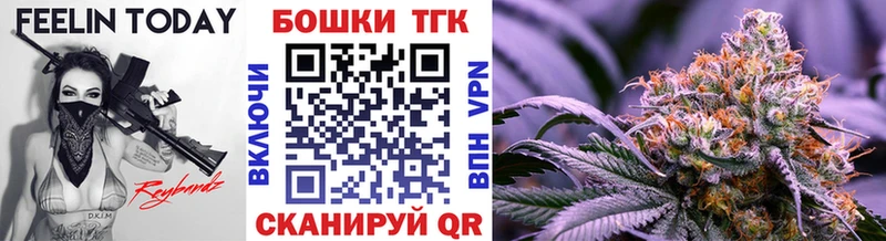 Конопля сатива Пудож